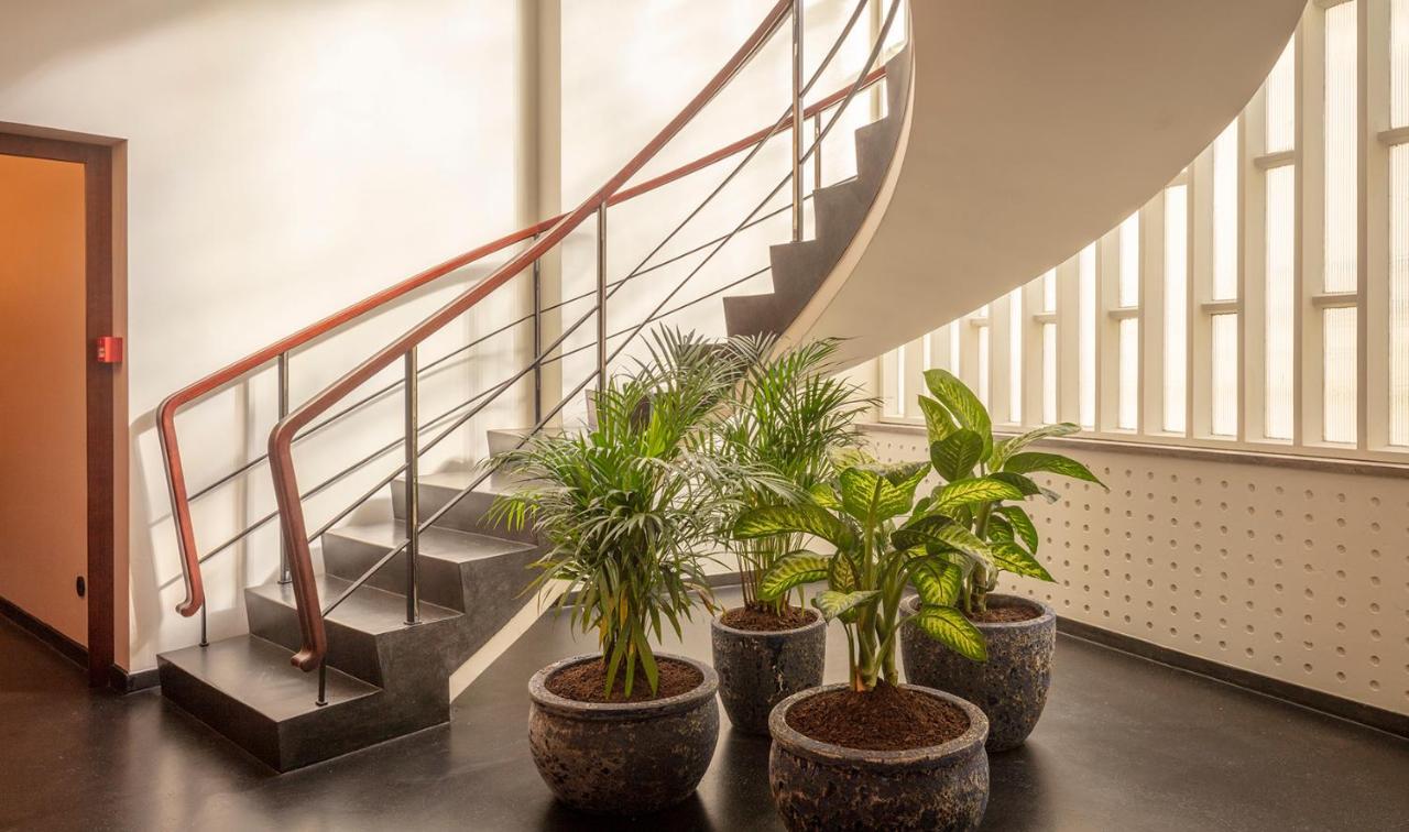 Ceuta Terrace Suites Порту Екстер'єр фото